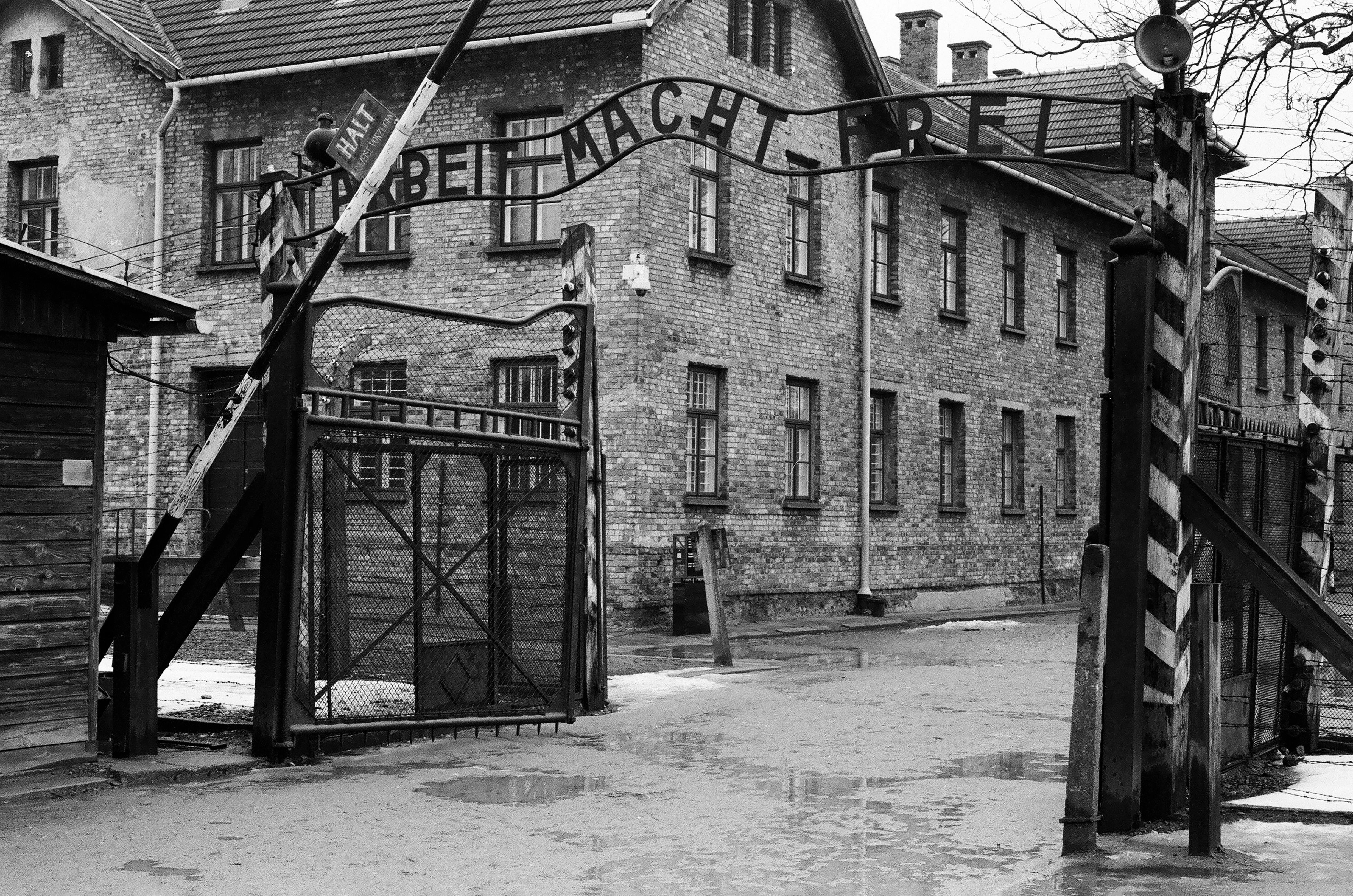Muzeum Auschwitz-Birkenau – dlaczego warto zobaczyć?